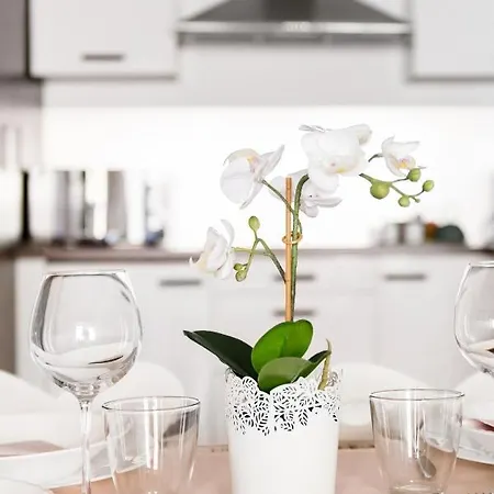 Apartment L'authentik, Charme Et Confort En Vieille Annecy